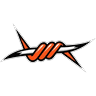 Denver Outlaws