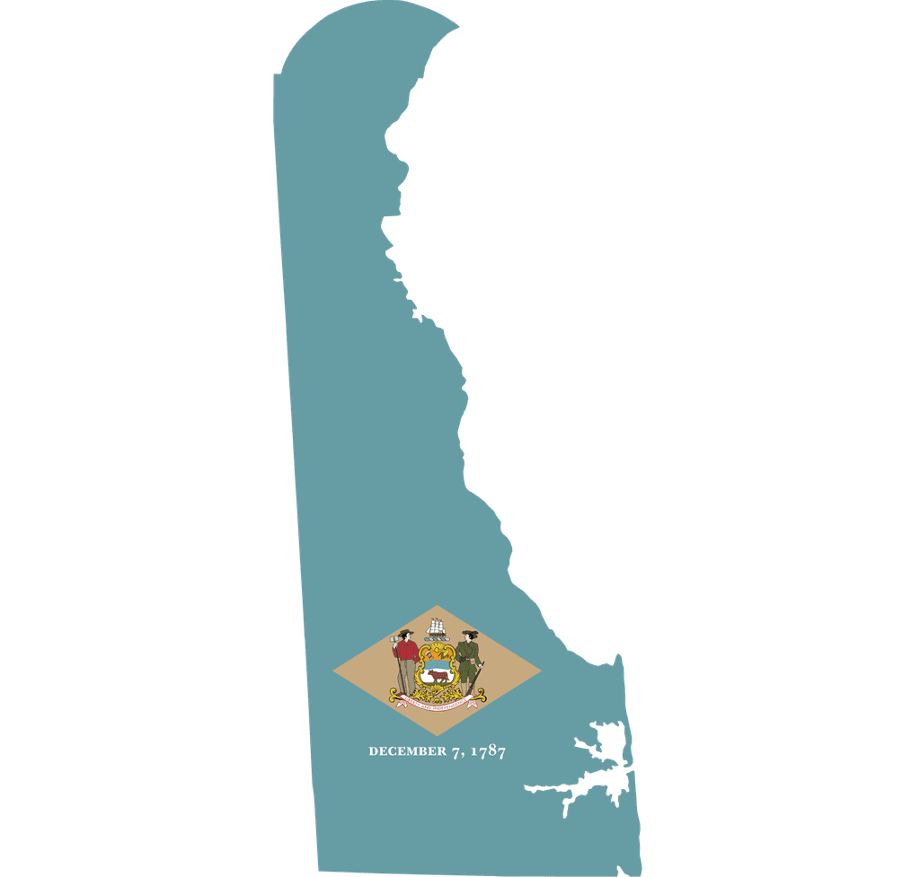 Delaware Senate Election Margin of Victory