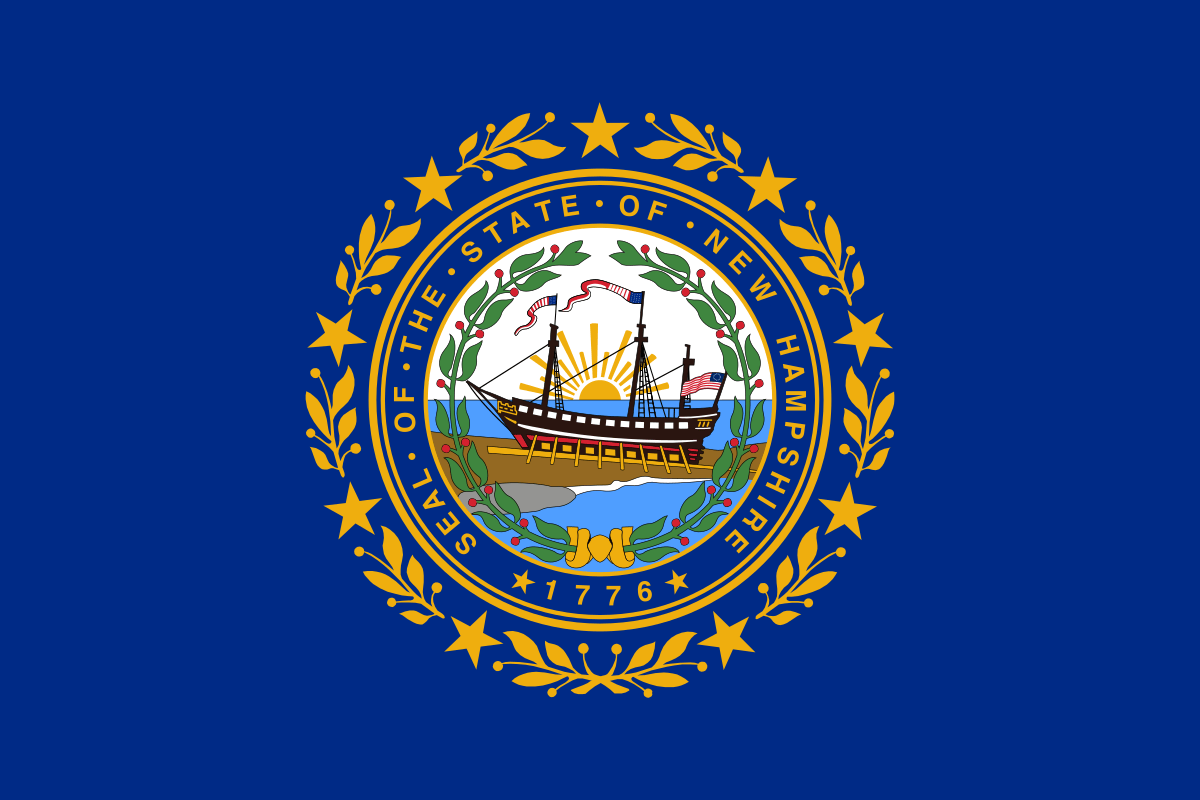 NH-01 House Election Winner