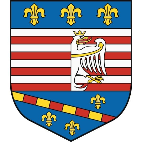 Košice Mayoral Election Winner - image