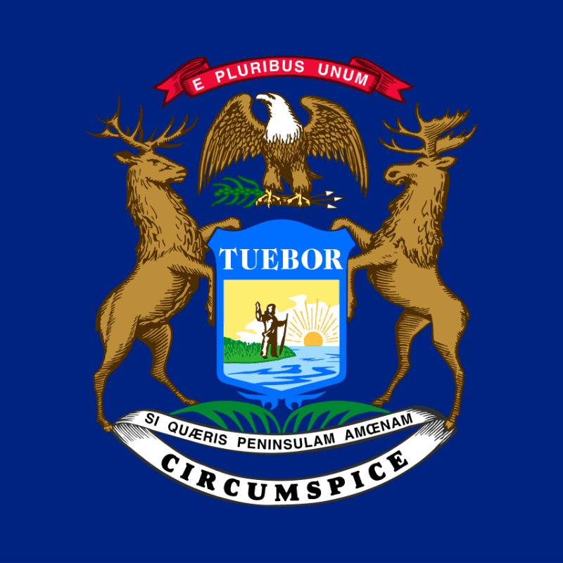 icon for Michigan Secretary of State Election Winner