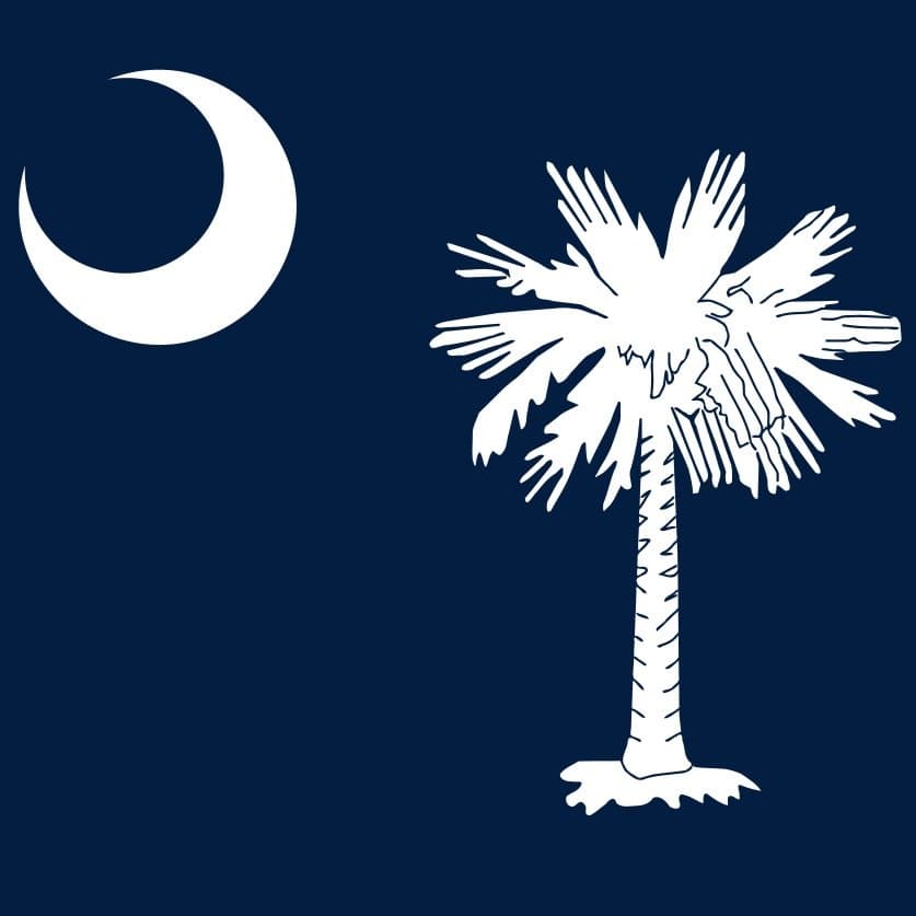 South Carolina Presidential Democratic Primary Winner card icon