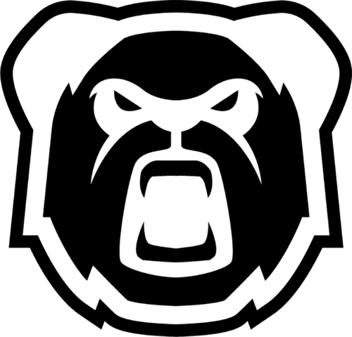 ap icon