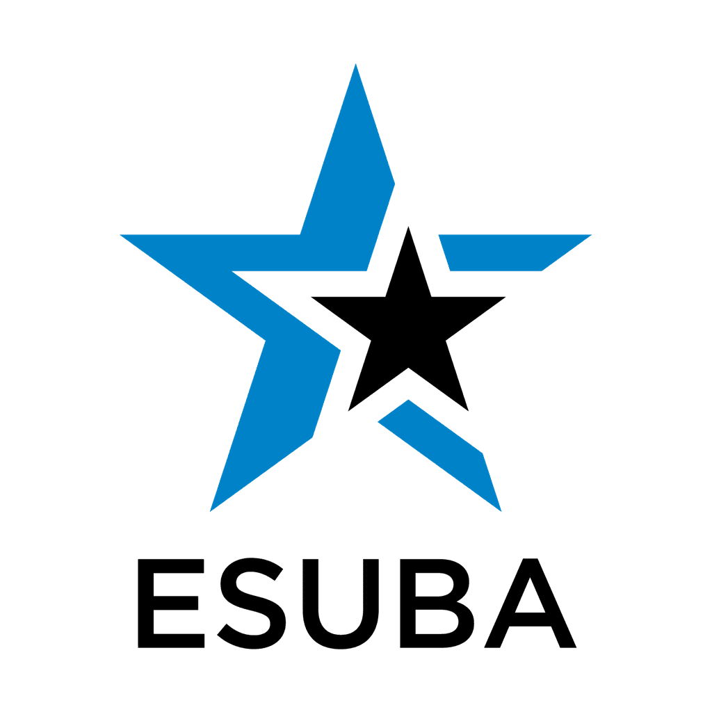 esb icon