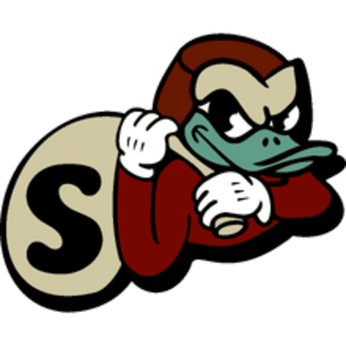 rs icon