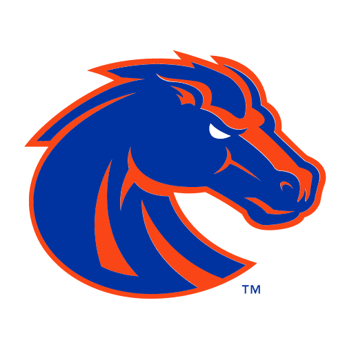 boise icon