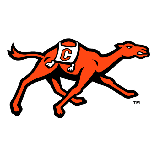 camp icon