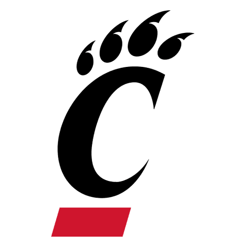 cin icon