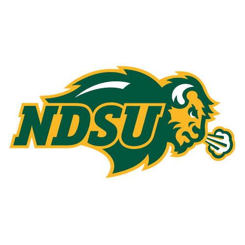ndkst icon