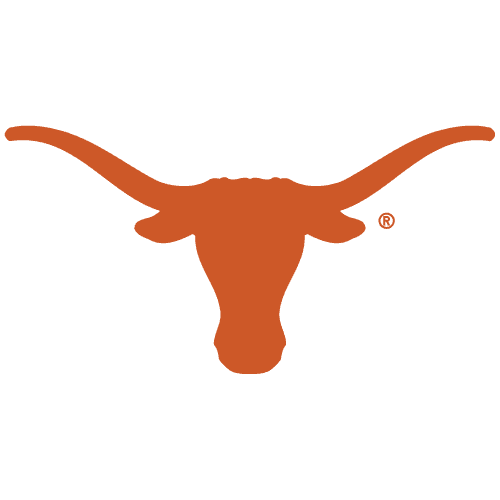 tx icon